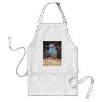 Cordon Bleu Finch