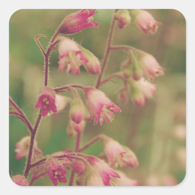 Corelbells, Spring Flowers Square Sticker (Front)