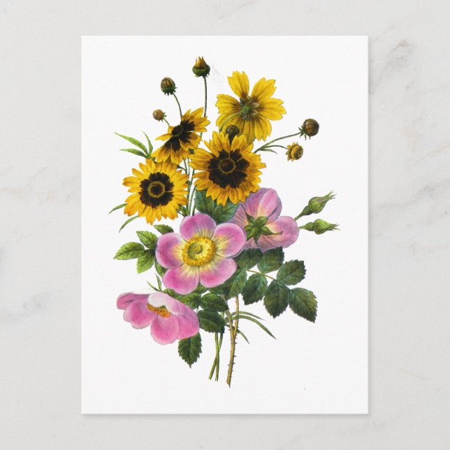Coreopsis and Rose Hips Redoute Bouquet Postcard (Front)