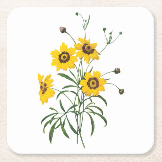 coreopsis(Coreopsis elegans) by Redouté Square Paper Coaster