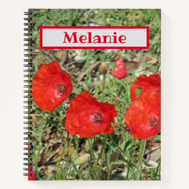 Corfu Red Poppies  Notebook (Front)