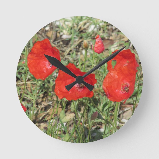 Corfu Red Poppies  Round Clock (Front)