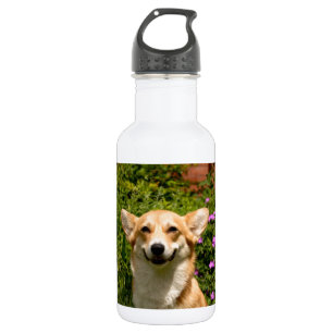 CORGi 532 Ml Water Bottle