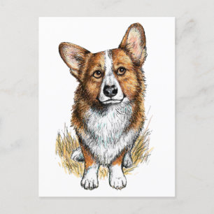 Corgi and Cows Postcard