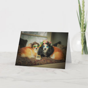 Corgi Anniversary Card