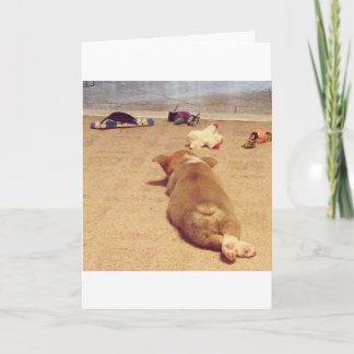 Corgi Birthday card
