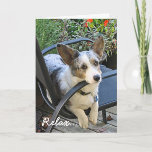 Corgi birthday card