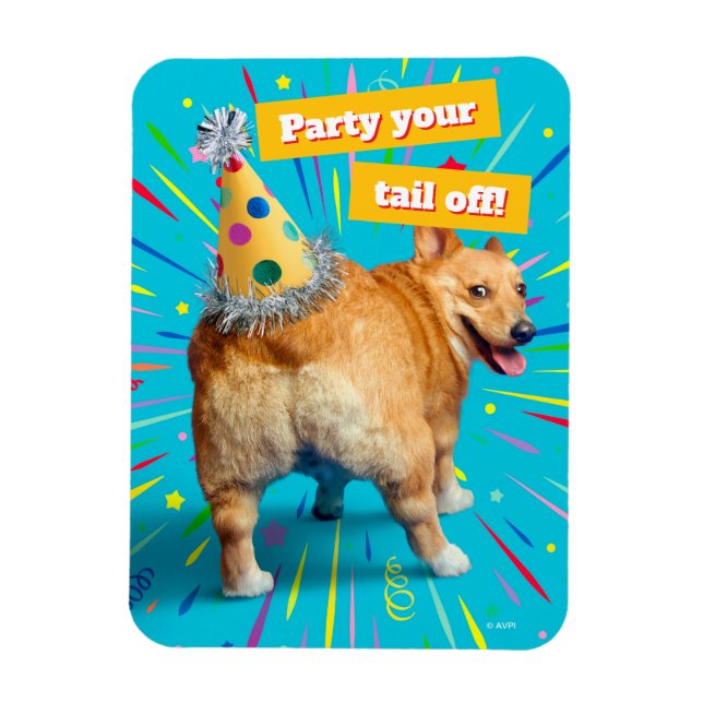 Corgi Butt Birthday Hat Magnet (Vertical)
