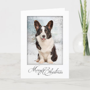 Corgi Christmas Card
