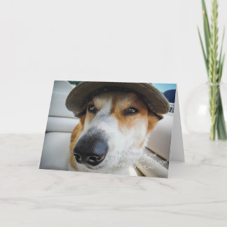 Corgi demands treat birthday card