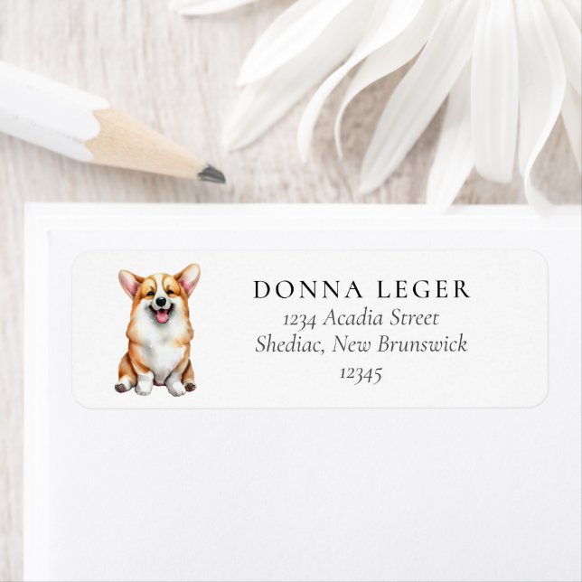 Corgi Dog Address (Insitu)