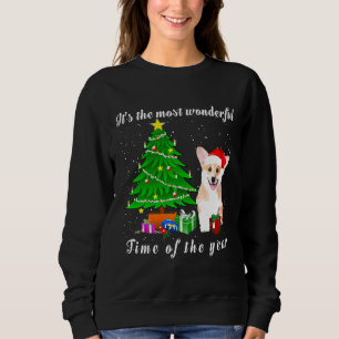Corgi Dog Its The Most Wonderful Time Of The Year Sweatshirt