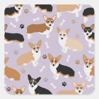 Corgi Dog Paws and Bones