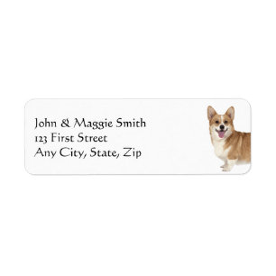 Corgi Dog Pet Animal