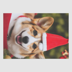 Corgi dog smiling christmas fun  tissue paper
