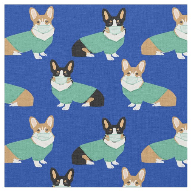 corgi dogs in scrubs blue fabric (Close Up)