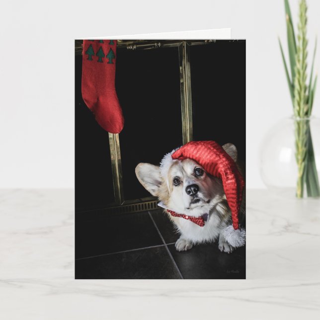 Corgi Elf Looking for Santa Christmas card (Front)