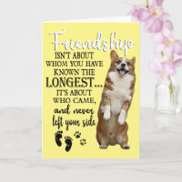 Corgi Friendship Isn't About Whom You Have Known T