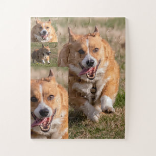 Corgi Fun Kids Jigsaw Puzzle