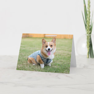Corgi greeting card