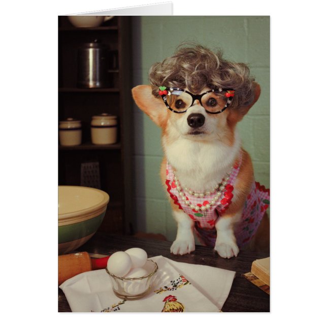 Corgi Happy Birthday (Front)