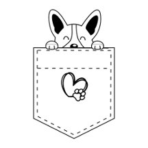 Corgi in pocket with Santa hat | Christmas gifts