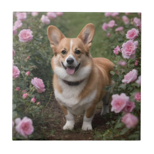 Corgi In The Pink Roses, Tile