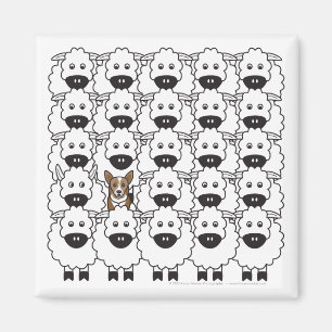 Corgi in the Sheep Magnet