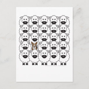 Corgi in the Sheep Postcard