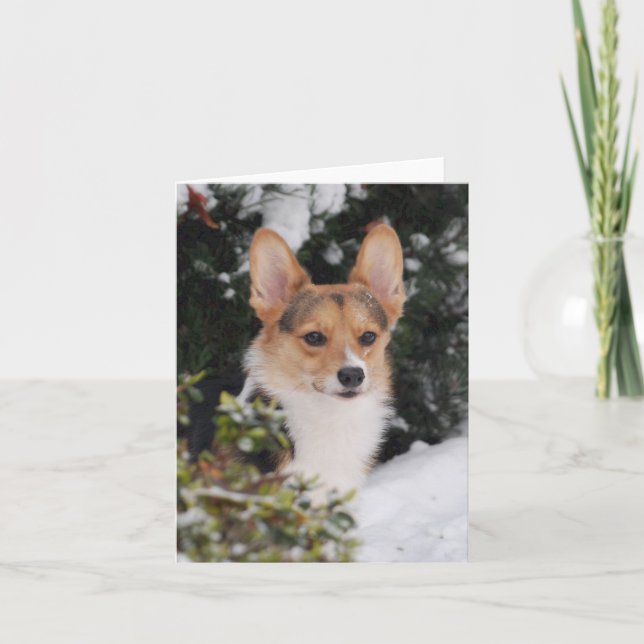 Corgi in the Snow Card (Front)
