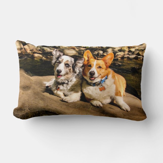 Corgi Lovers Lumbar Cushion (Front)
