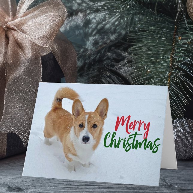 Corgi Merry Christmas Dog in Snow Photo Holiday Card (Creator Uploaded)