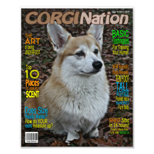Corgi Nation Magazine (Customisable Print) Photo Print