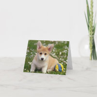 Corgi (Pembroke Welsh) Puppy Dog Note Card