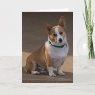 Corgi Portrait Card