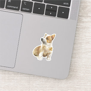 Corgi Puppy Cartoon Dog