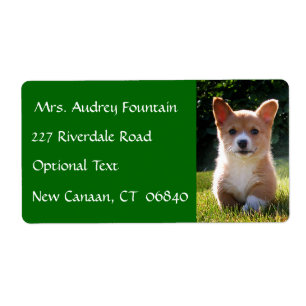 Corgi Puppy Dog Name Return Address Mailing Label