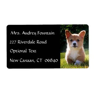 Corgi Puppy Dog Name Return Address Mailing Label