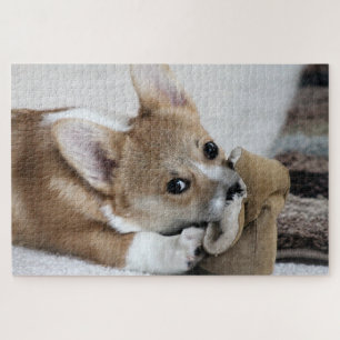 Corgi Puppy Fun Puzzle