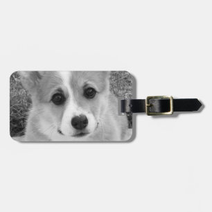 Corgi Puppy Luggage Tag