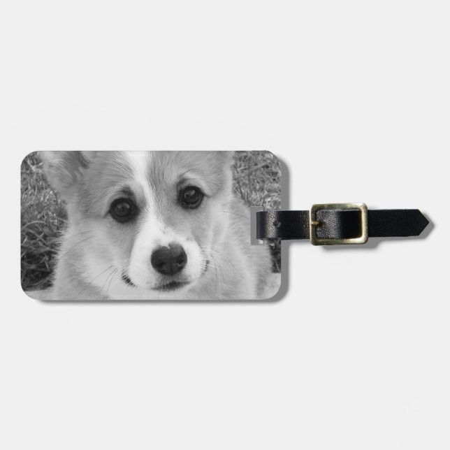 Corgi Puppy Luggage Tag (Front Horizontal)