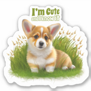 Corgi puppy on the grass   cute pet
