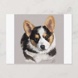 Corgi Puppy Postcard