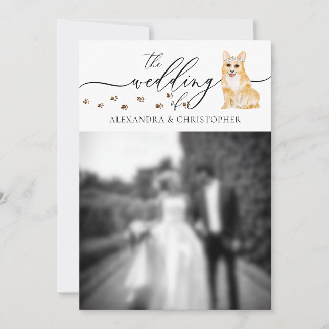 Corgi puppy Wedding Photo Invitation (Front)
