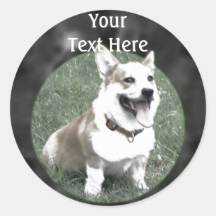 Corgi Sticker