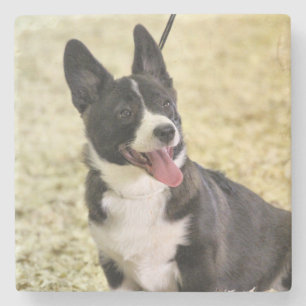 Corgi Stone Coaster