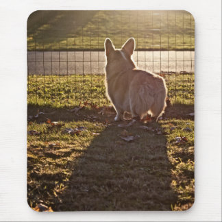 Corgi Sunrise Mouse Pad