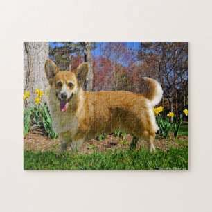 "Corgi Time" Puzzle