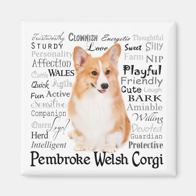 Corgi Traits Magnet (Front)