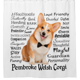 Corgi Traits Shower Curtain